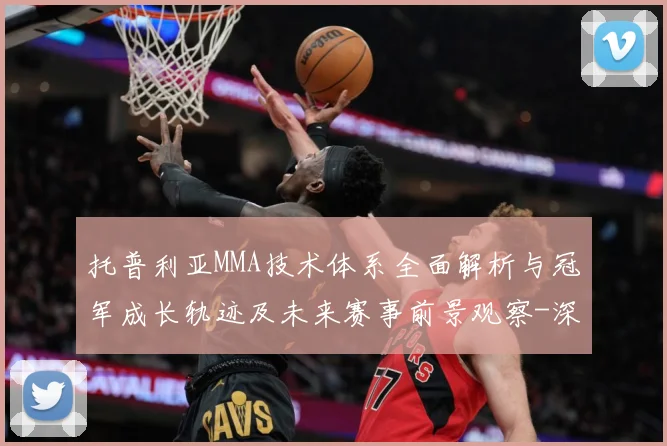 托普利亚MMA技术体系全面解析与冠军成长轨迹及未来赛事前景观察-深度解析