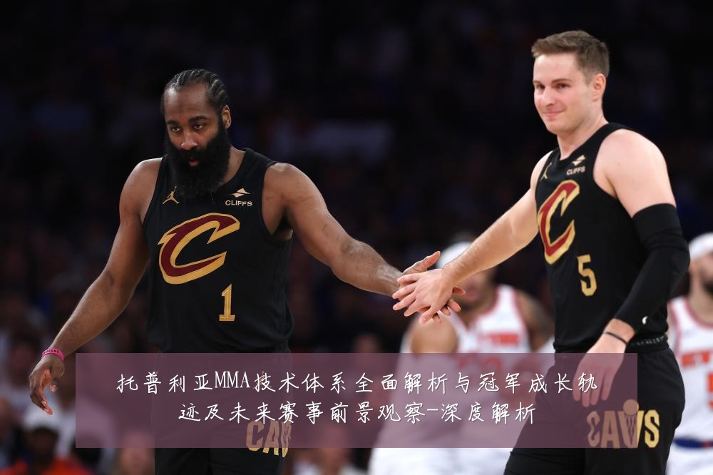托普利亚MMA技术体系全面解析与冠军成长轨迹及未来赛事前景观察-深度解析